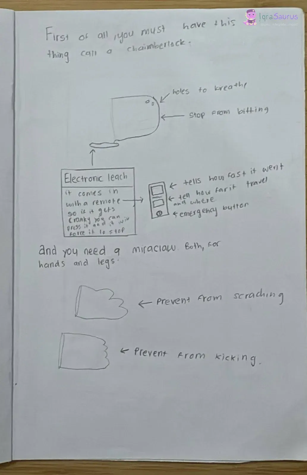 Labelled drawings of a muzzle, an electronic leash with a remote, and mitts for hands and feet.