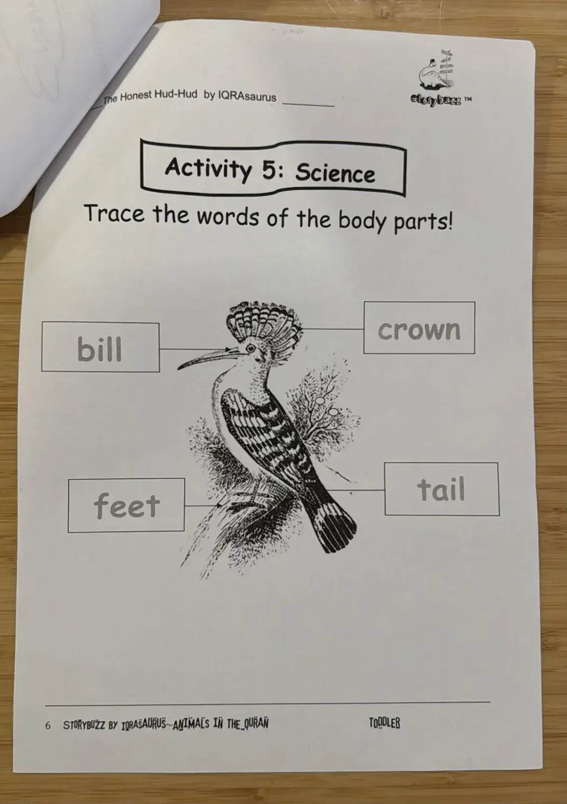 Activity 5: Science page to trace the words bill, crown, feet and tail